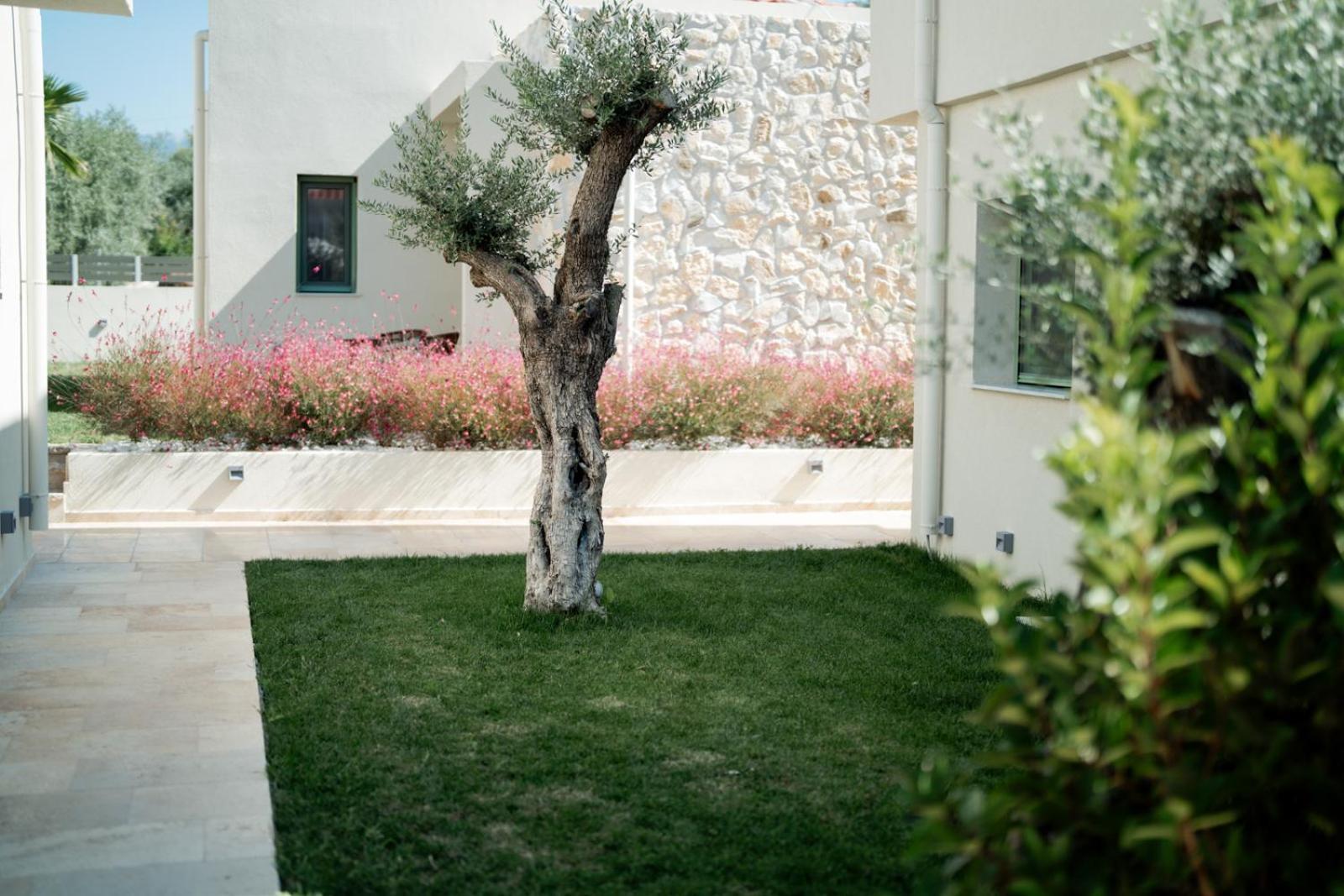 Villa Magnolia Thassos