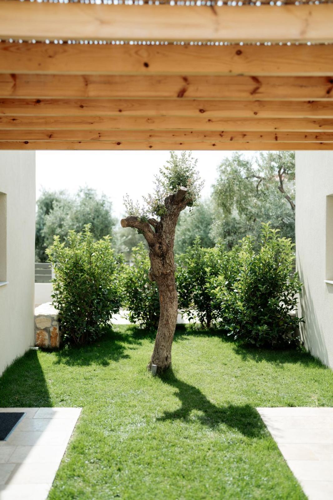Villa Magnolia Thassos *